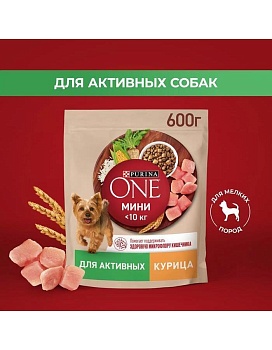 PURINA ONE "МИНИ Активная" сухой корм для собак Курица Рис 600 гр купить  зоотовары для животных