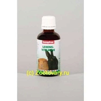 BEAPHAR Lebensvitamine витамины для грызунов 50мл 50мл. купить  зоотовары для животных
