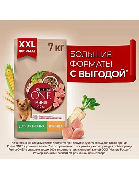 PURINA ONE МИНИ 7 кг сухой корм для взрослых собак мелких пород, с высоким содержанием курицы и с рисом {12555343} купить  зоотовары для животных