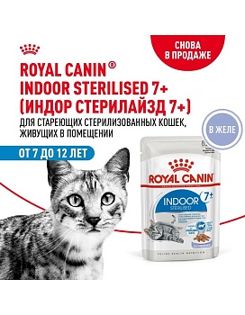 ROYAL CANIN INDOOR STERILISED 7+ пауч влажный корм мелкие кусочки в желе для кошек живущих в помещении в возрасте от 7 до 12 лет 28х85г купить  зоотовары для животных