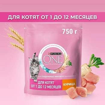 PURINA ONE сухой корм для котят, с высоким содержанием курицы и цельными злаками 750г купить 