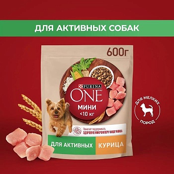 PURINA ONE "МИНИ Активная" сухой корм для собак Курица Рис 600 гр купить 