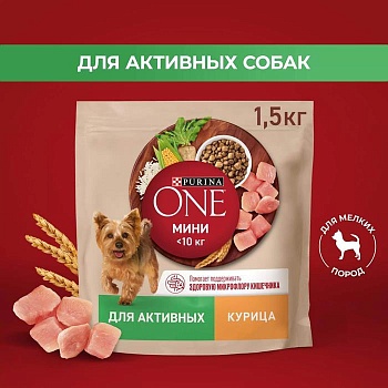 PURINA ONE МИНИ 1,5 кг сухой корм для собак мелких пород с активным образом жизни, с высоким содержанием курицы и с рисом 1х6  {12567504} купить 