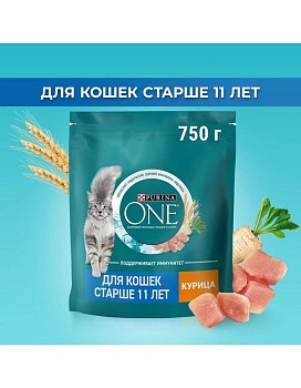 PURINA ONE сухой корм для кошек старше 11 лет, с высоким содержанием курицы и цельными злаками 750г купить  зоотовары для животных