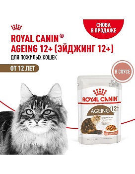 ROYAL CANIN AGEING +12 пауч влажный корм мелкие кусочки в cоусе для стареющих кошек старше 12 лет 28х85г купить  зоотовары для животных