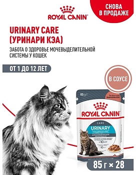 ROYAL CANIN URINARY CARE пауч влажный корм кусочки соусе для взрослых кошек при мочекаменной болезни 28х85г купить  зоотовары для животных