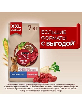 PURINA ONE МИНИ 7 кг сухой корм для взрослых собак мелких пород, с высоким содержанием говядины и с рисом {12554150} купить  зоотовары для животных