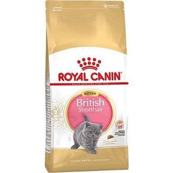 Royal Canin Kitten British Shorthair Питание для Котят Британской Короткошерстной Породы 10кг купить 