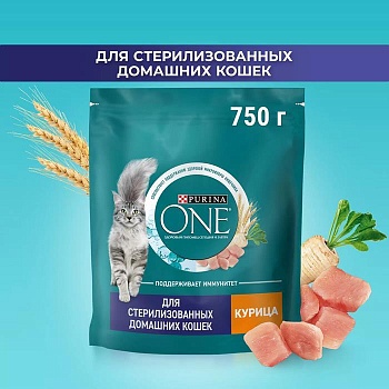 PURINA ONE сухой корм для стерилизованных кошек и кастрированных котов, живущих в домашних условиях, с высоким содержанием курицы и цельными злаками 750г купить 