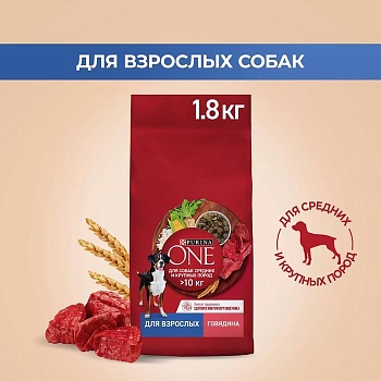 PURINA ONE для собак средних и крупных пород Говядина Рис 1.8 кг купить 