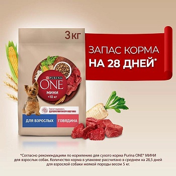 PURINA ONE МИНИ 3 кг сухой корм для взрослых собак мелких пород, с высоким содержанием говядины и с рисом 1х4  {12554099} купить 