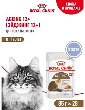 ROYAL CANIN AGEING +12 пауч влажный корм мелкие кусочки в желе для стареющих кошек старше 12 лет 28х85г купить  зоотовары для животных