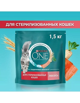 PURINA ONE сухой корм для стерилизованных кошек и кастрированных котов, с высоким содержанием лосося и пшеницей 1,5кг купить  зоотовары для животных
