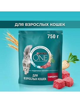 PURINA ONE сухой корм для взрослых кошек, с высоким содержанием говядины и цельными злаками 750г купить  зоотовары для животных