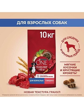 PURINA ONE для собак средних и крупных пород Говядина Рис 10кг купить  зоотовары для животных