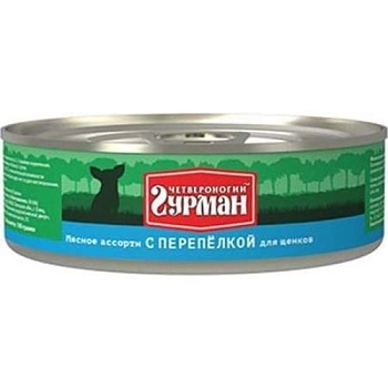 Четвероногий Гурман Мясное Ассорти для Щенков с Перепелкой 24х100г купить 