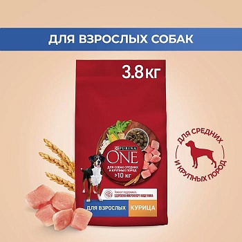 PURINA ONE для собак средних и крупных пород Курица Рис 3,8кг купить 