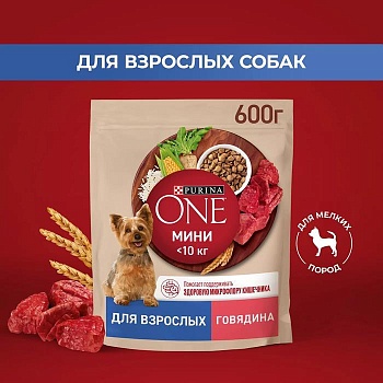 PURINA ONE МИНИ Взрослая корм для собак Говядина с рисом 600г купить 