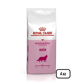 ROYAL CANIN QUEEN сухой корм для кошек в период течки, беременности и лактации 4кг купить  зоотовары для животных
