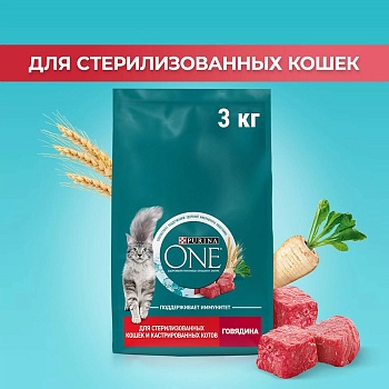 PURINA ONE сухой корм для стерилизованных кошек и кастрированных котов, с высоким содержанием говядины и пшеницей 3кг купить 