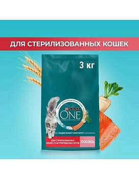 PURINA ONE сухой корм для стерилизованных кошек и кастрированных котов, с высоким содержанием лосося 3кг купить  зоотовары для животных