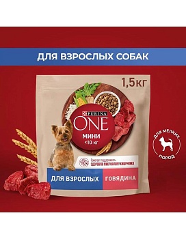 PURINA ONE МИНИ 1,5 кг сухой корм для взрослых собак мелких и карликовых пород с высоким содержанием говядины и рисом 1х6 {12567517} купить  зоотовары для животных