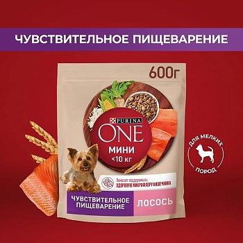 PURINA ONE МИНИ Чувствительная сухой корм для Собак Лосось с рисом 600 гр купить 