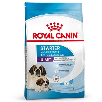 ROYAL CANIN GIANT STARTER корм для крупных пород щенков до 2-х месяцев, беременных и кормящих сук 4кг купить 