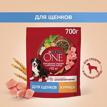 PURINA ONE 700 г сухой корм для щенков средних и крупных пород, с высоким содержанием курицы и с рисом 1х8  {12557940} купить 