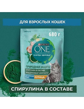 PURINA ONE Природа Здоровья сухой корм для взрослых кошек, с высоким содержанием курицы 680г купить  зоотовары для животных
