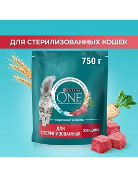 PURINA ONE сухой корм для стерилизованных кошек и кастрированных котов, с высоким содержанием говядины 750г купить  зоотовары для животных